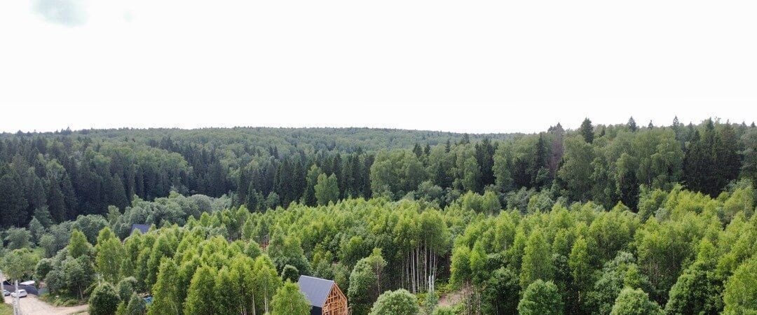 земля г Балашиха кв-л Изумрудный 1с 1, Дмитровский городской округ фото 13