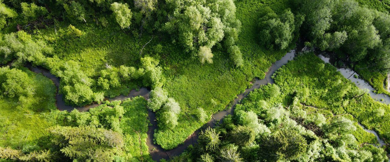 земля г Балашиха кв-л Изумрудный 1с 1, Дмитровский городской округ фото 19