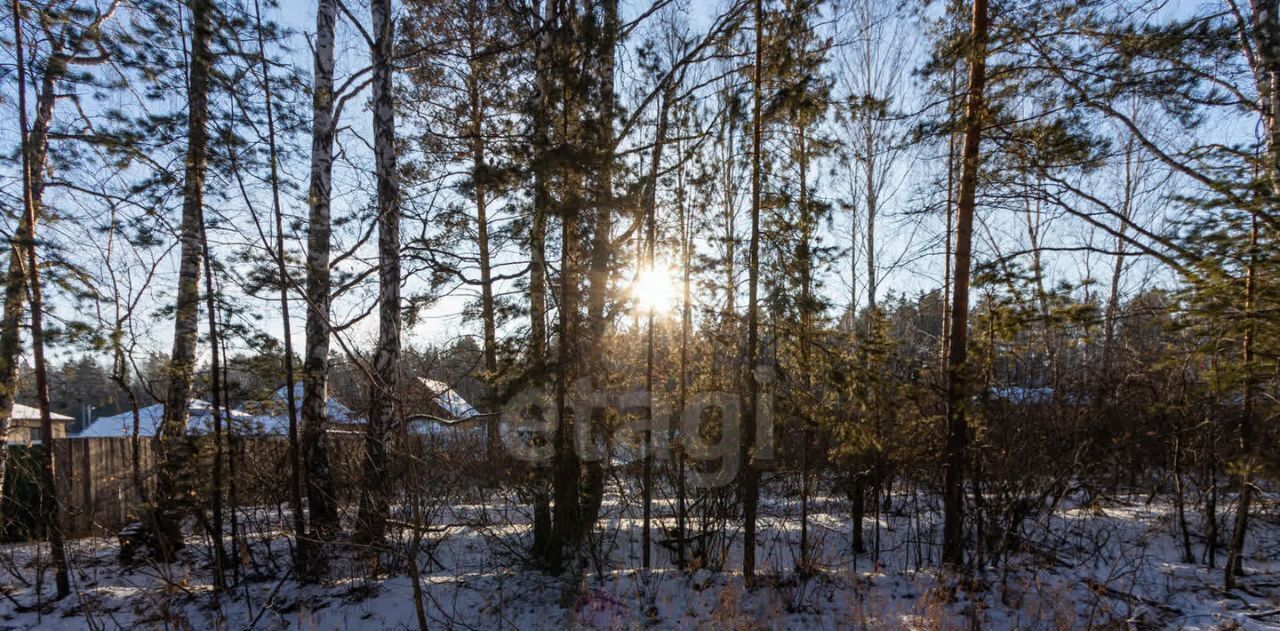 земля р-н Тюменский с Перевалово Переваловское сельское поселение фото 6