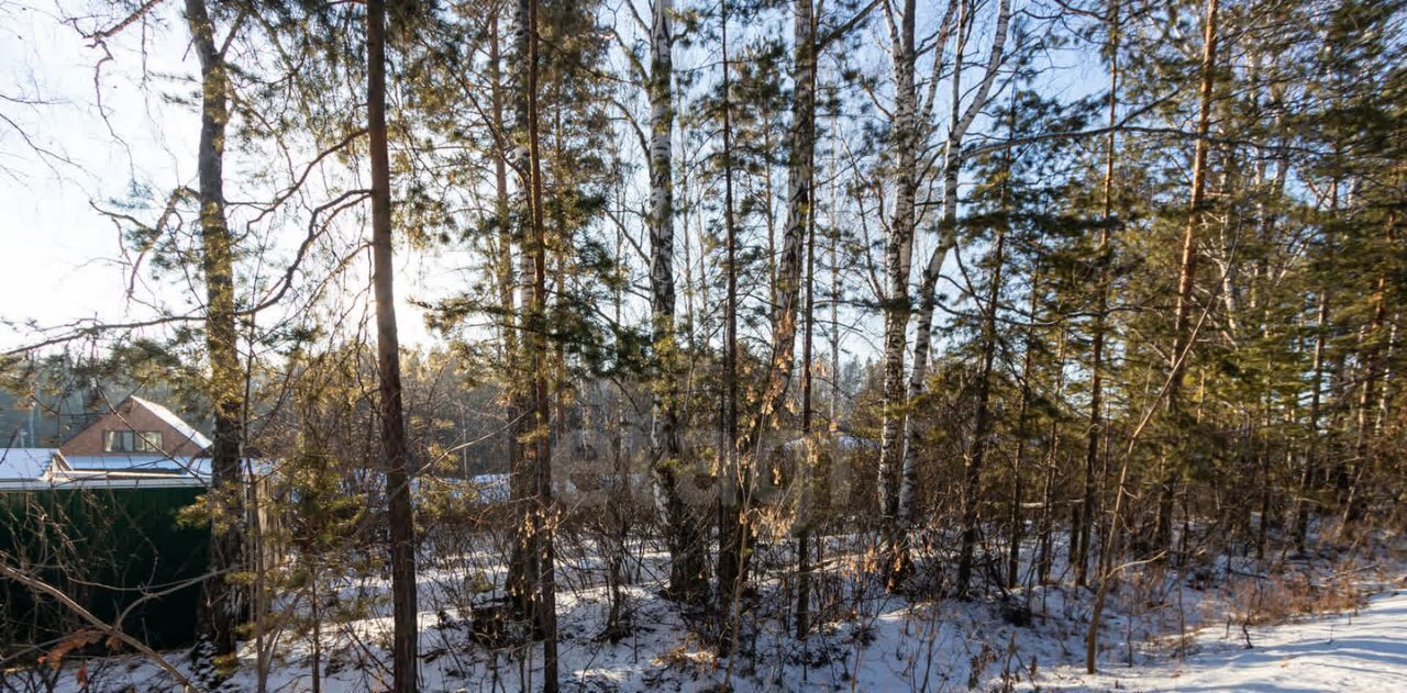 земля р-н Тюменский с Перевалово Переваловское сельское поселение фото 10