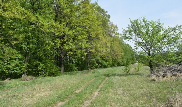 село Введенская Слобода, улица Татарстан фото