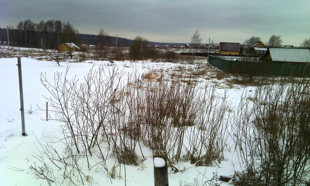 земля городской округ Солнечногорск д Хоругвино снт Кочергино СНТ Блюз, Ленинградское фото 6