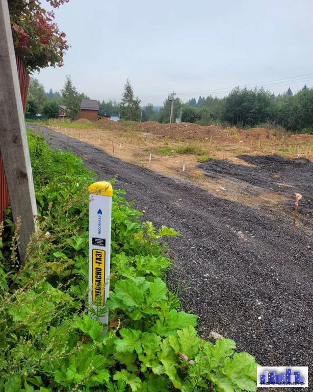 земля городской округ Солнечногорск д Берсеневка Ленинградское фото 5