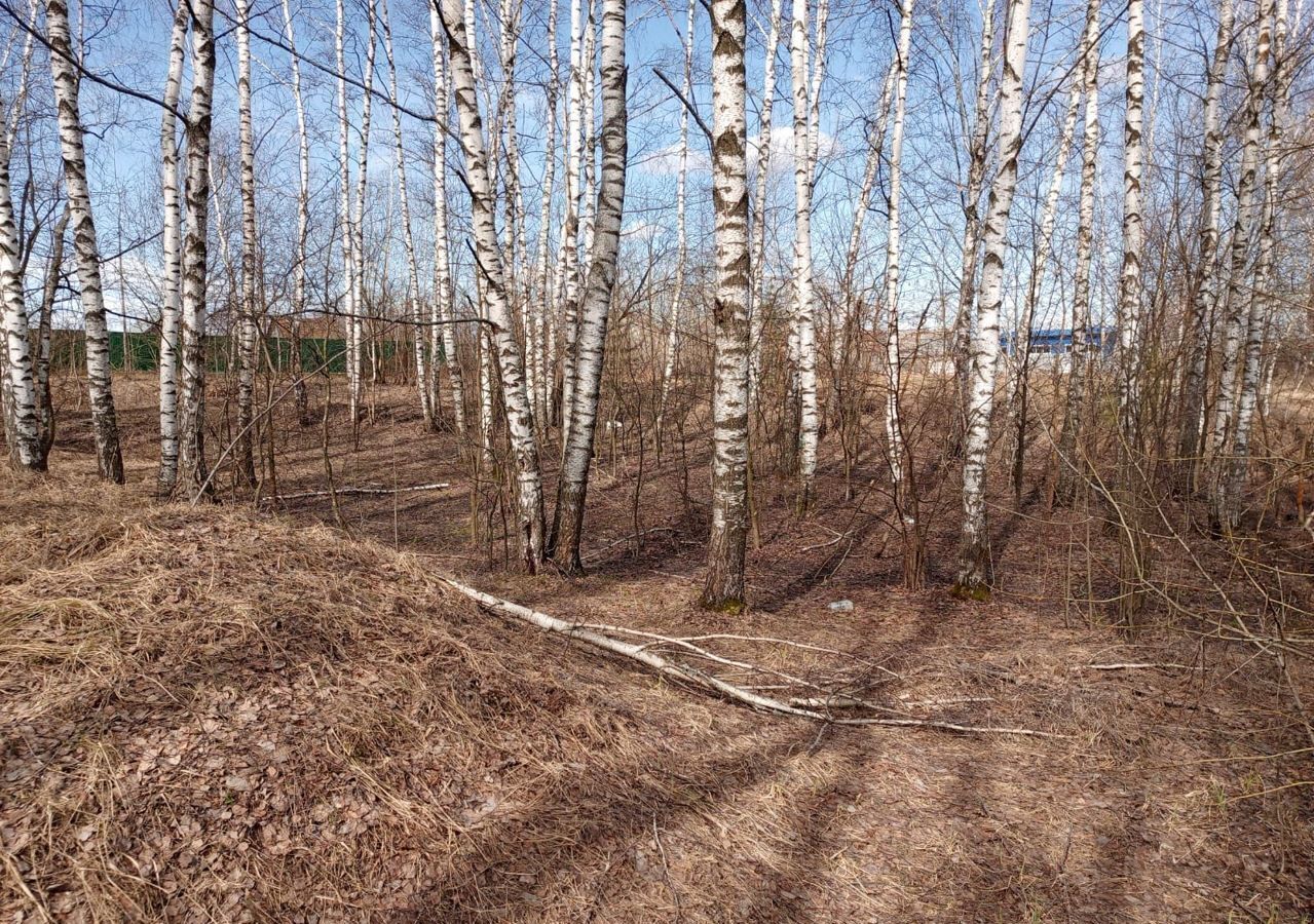 земля р-н Богородский г Богородск сельский пос. Зелёный Дол фото 5