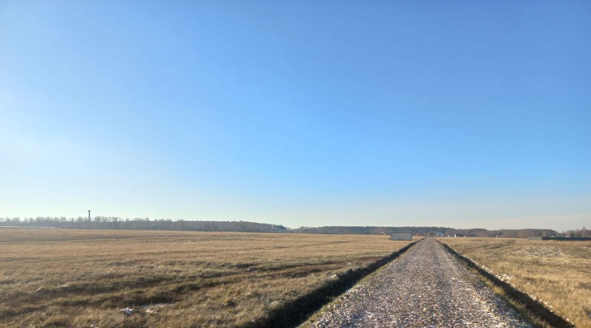 земля городской округ Раменский Давыдово дп фото 3