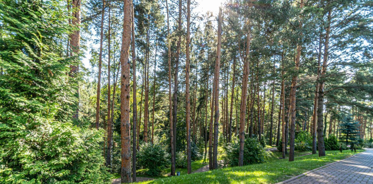 дом городской округ Истра д Лешково Алексеево Парк кп, Нахабино фото 42