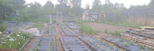 р-н Смидовичский снт Железнодорожник фото