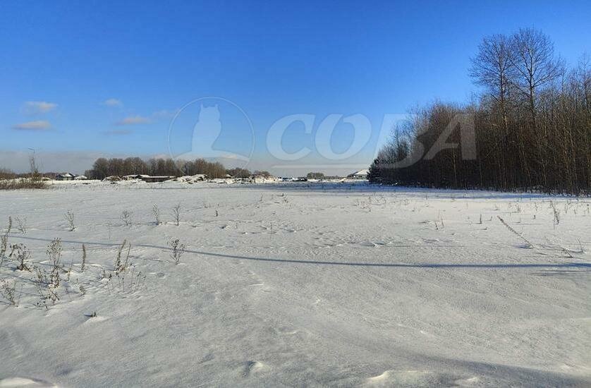 земля р-н Тюменский коттеджный посёлок Новокаменский фото 4