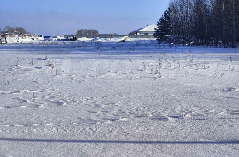 земля р-н Тюменский коттеджный посёлок Новокаменский фото 5