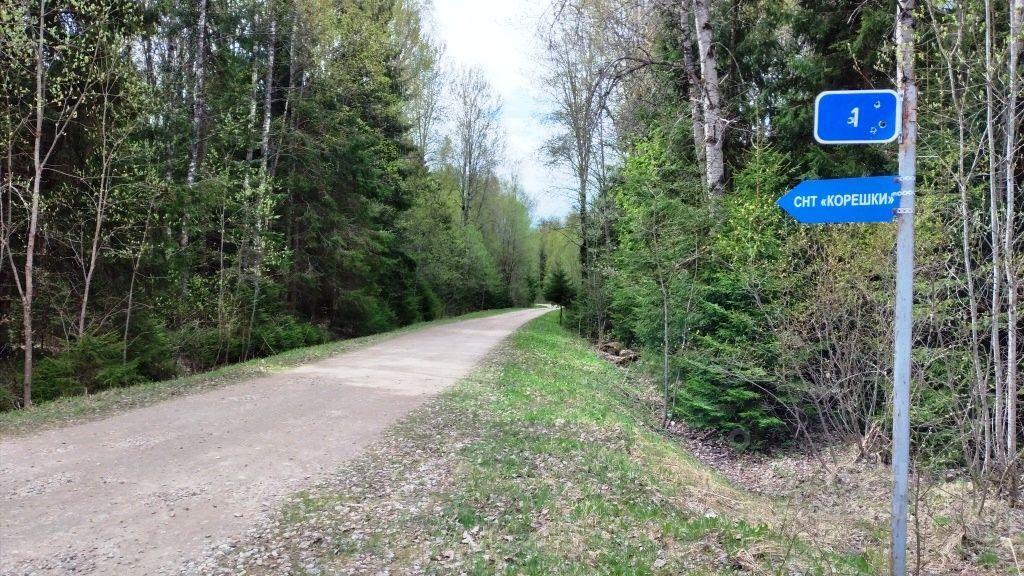 земля городской округ Шаховская «Балтия» фото 1