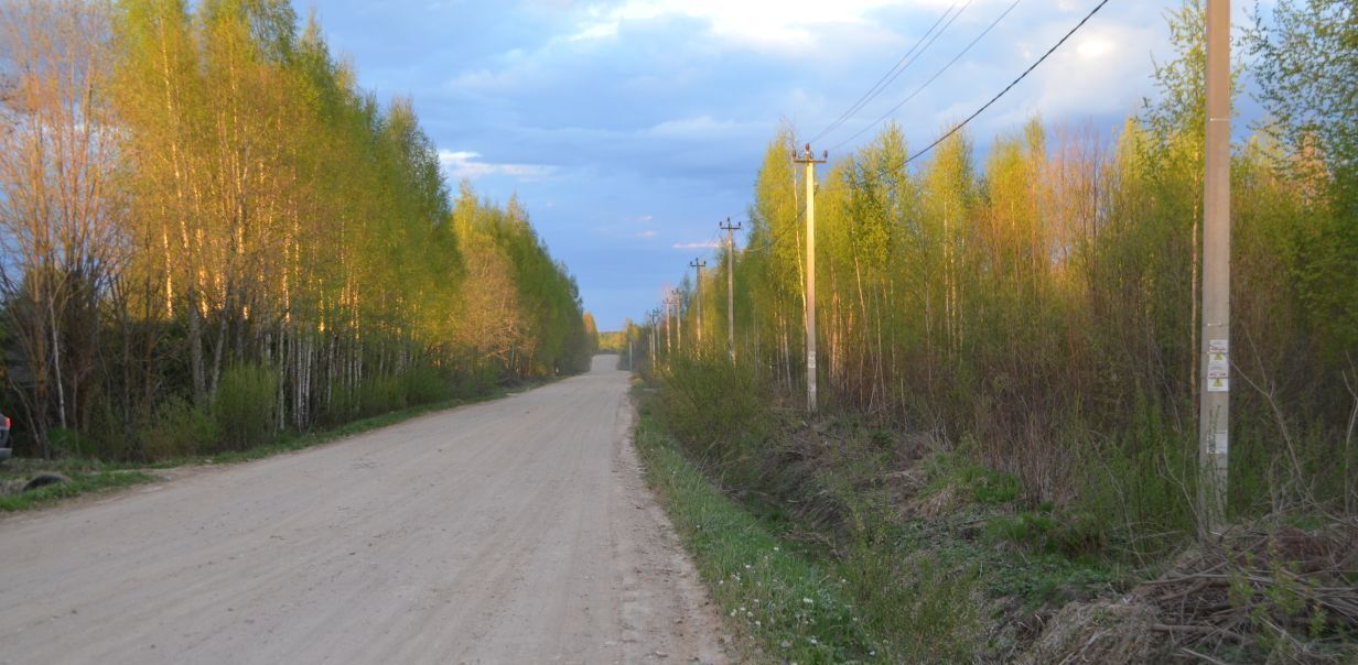 земля р-н Новгородский д Жабицы ул Никольская Савинское с/пос фото 3