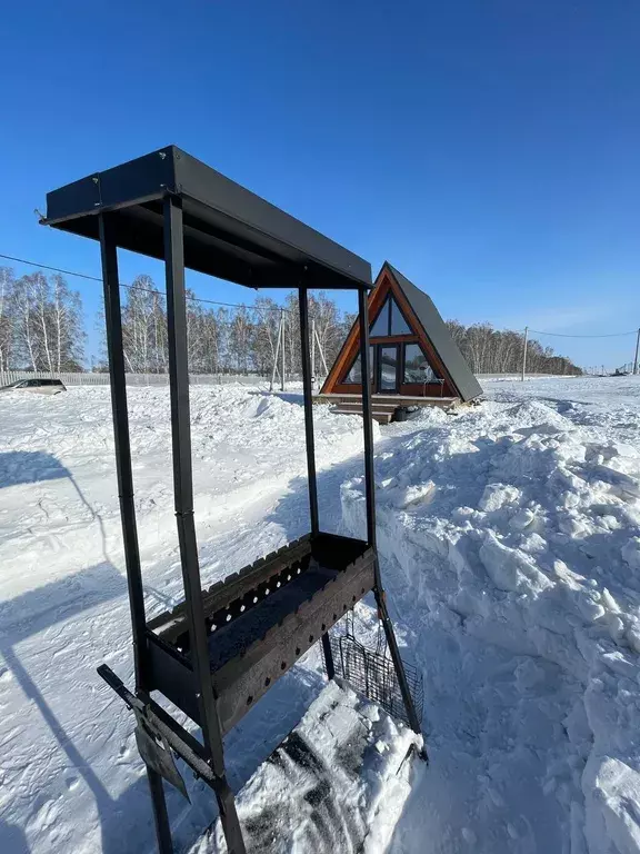 дом р-н Ордынский с Новопичугово КП Порт Пичуги, Виктория улица, 6/1 фото 4