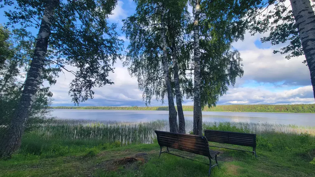 дом р-н Выборгский г Приморск СНТ Гармония, Зелёная улица, 170 фото 17