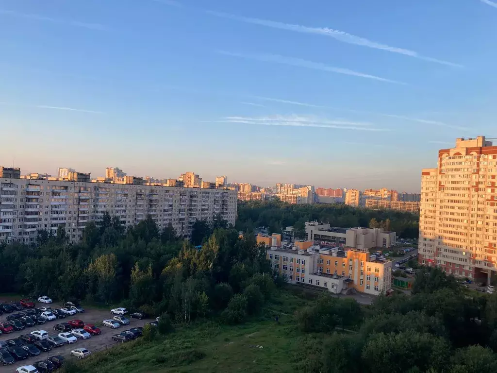 квартира г Санкт-Петербург метро Проспект Большевиков ул Ворошилова 31к/2 Ленинградская область фото 29