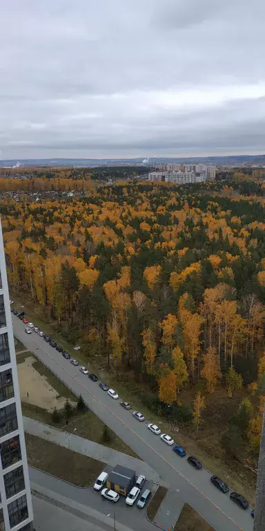 квартира г Екатеринбург р-н мкр Светлый Динамо, 1 фото 14