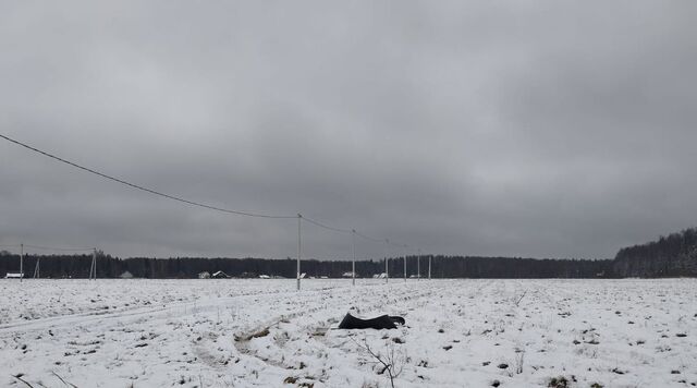 г Раменское снт Раменье Дмитровский городской округ фото