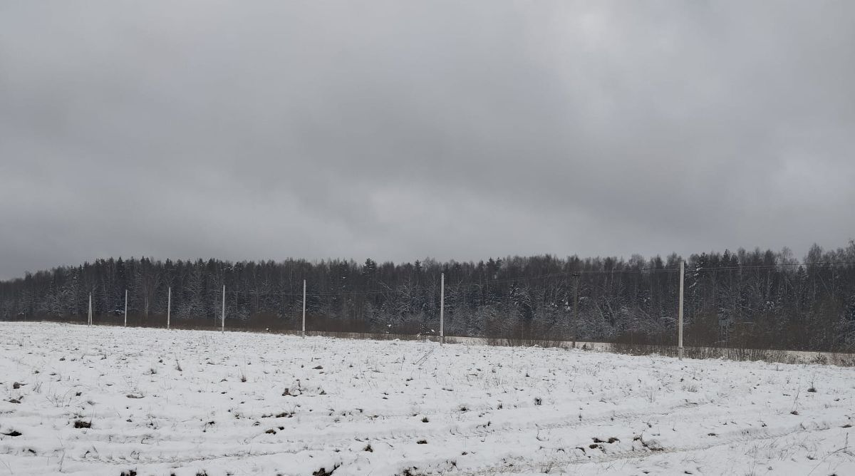 земля г Раменское снт Раменье Дмитровский городской округ фото 2