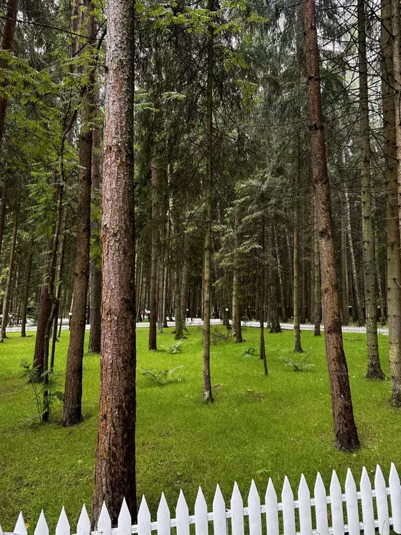 дом г Наро-Фоминск СНТ Ивушка дорога, 91 фото 26