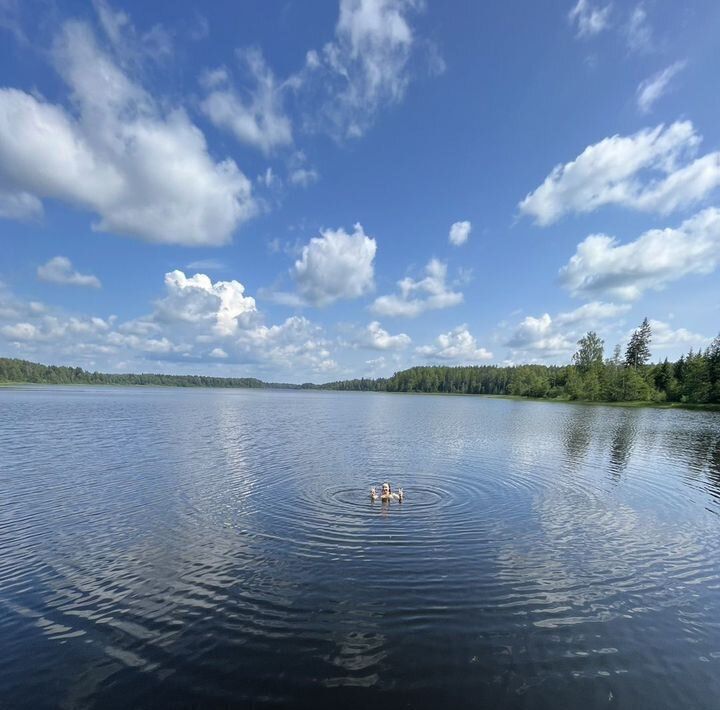 дом г Андреаполь д Стеклино Андреапольский район фото 1