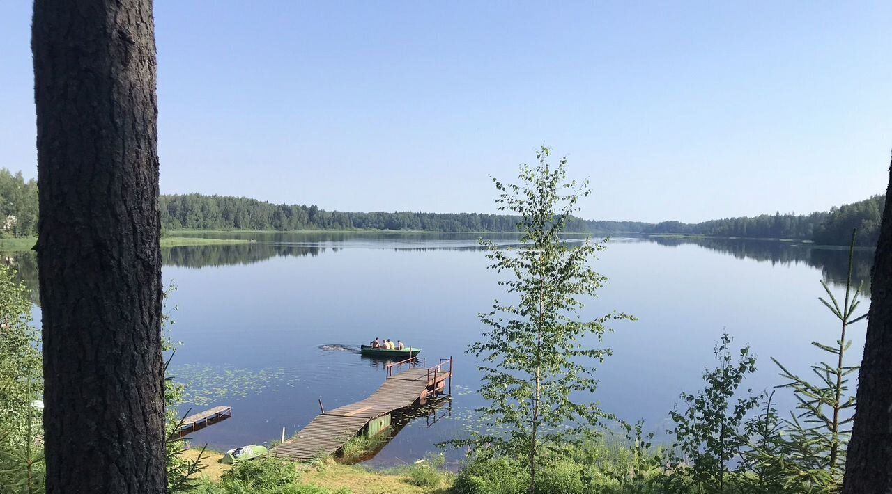 дом г Андреаполь д Стеклино Андреапольский район фото 8