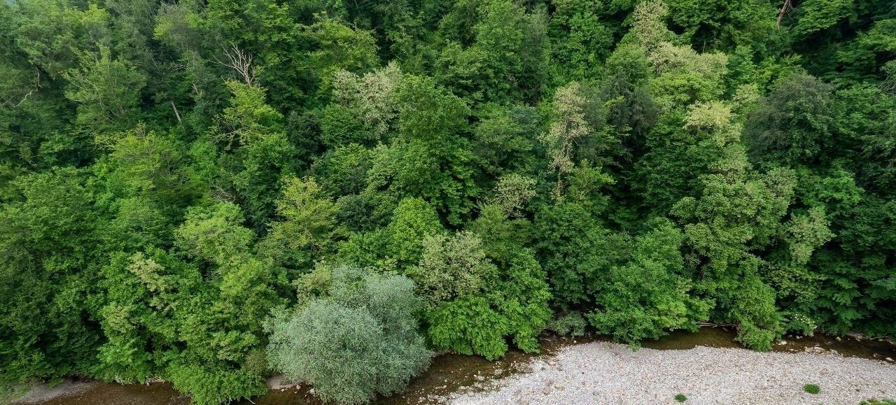 квартира г Сочи ул Гайдара 20 Дагомыс, ЖК «Место под солнцем» фото 8