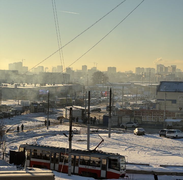 квартира г Новосибирск р-н Дзержинский Золотая Нива ш Гусинобродское 33 фото 3