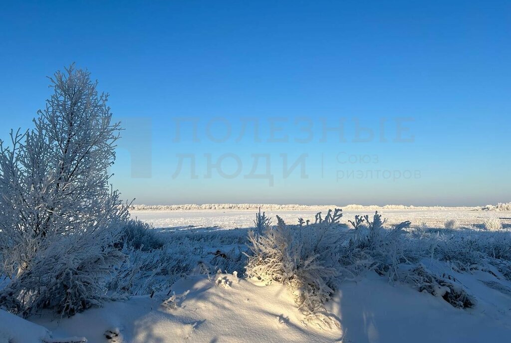 земля р-н Новгородский д Васильевское Ракомское сельское поселение фото 4