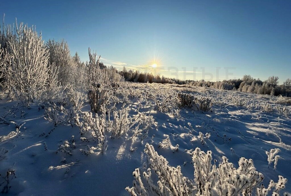 земля р-н Новгородский д Васильевское Ракомское сельское поселение фото 14