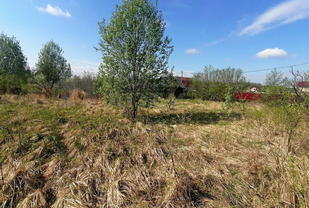 земля р-н Новгородский с/п Ермолинское Ермолинское сельское поселение, садоводческий массив Веряжский-2 фото 7