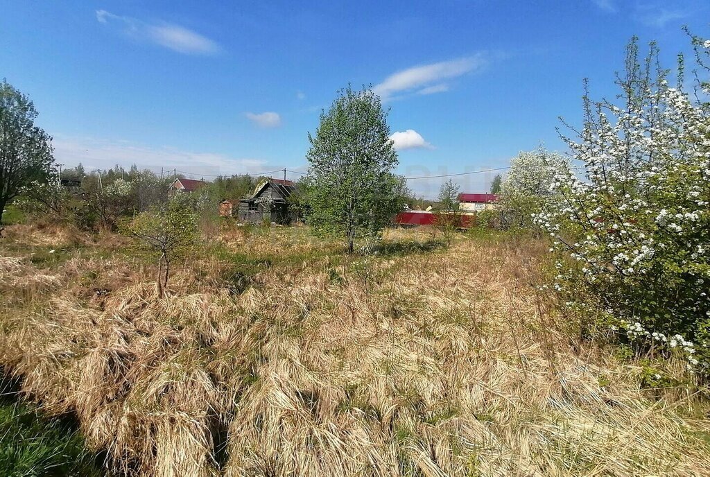 земля р-н Новгородский с/п Ермолинское Ермолинское сельское поселение, садоводческий массив Веряжский-2 фото 6