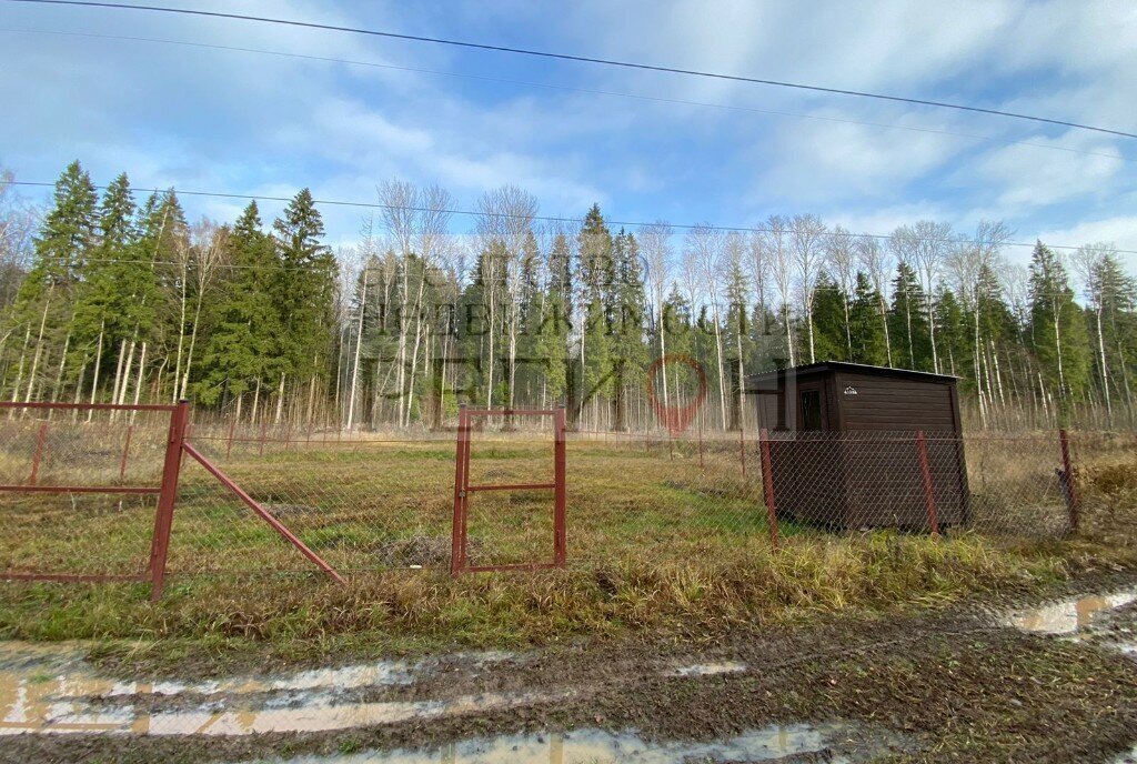 земля городской округ Наро-Фоминский д Савеловка снт Движенец фото 2