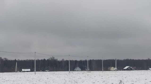 снт Раменье Дмитровский городской округ фото