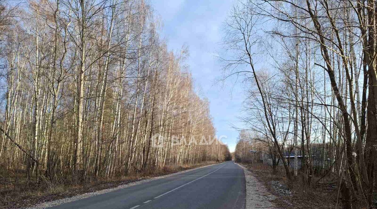 земля г Владимир р-н Октябрьский Лунево ул Лунёвская фото 1