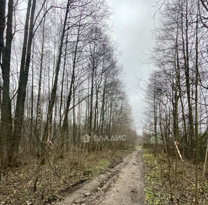 земля р-н Петушинский п Городищи муниципальное образование фото 11