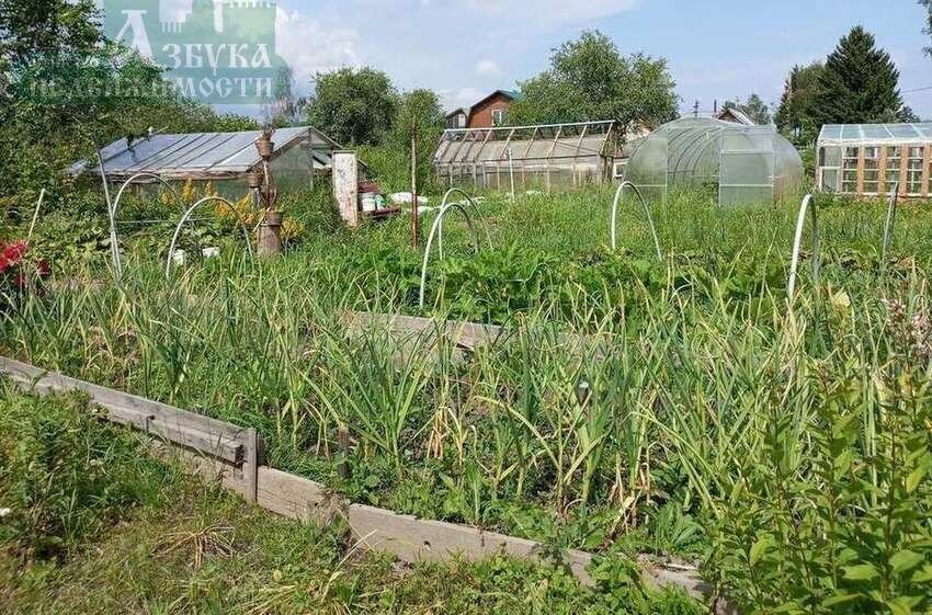 земля г Смоленск р-н Промышленный снт Рябинка садовое некоммерческое товарищество фото 6