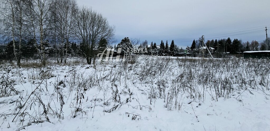 земля городской округ Истра д Мыканино Нахабино фото 1