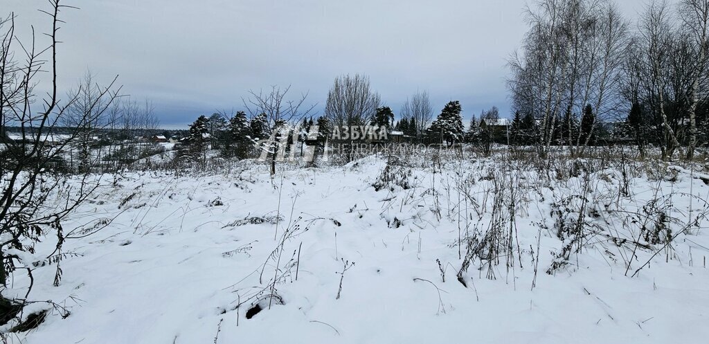 земля городской округ Истра д Мыканино Нахабино фото 10