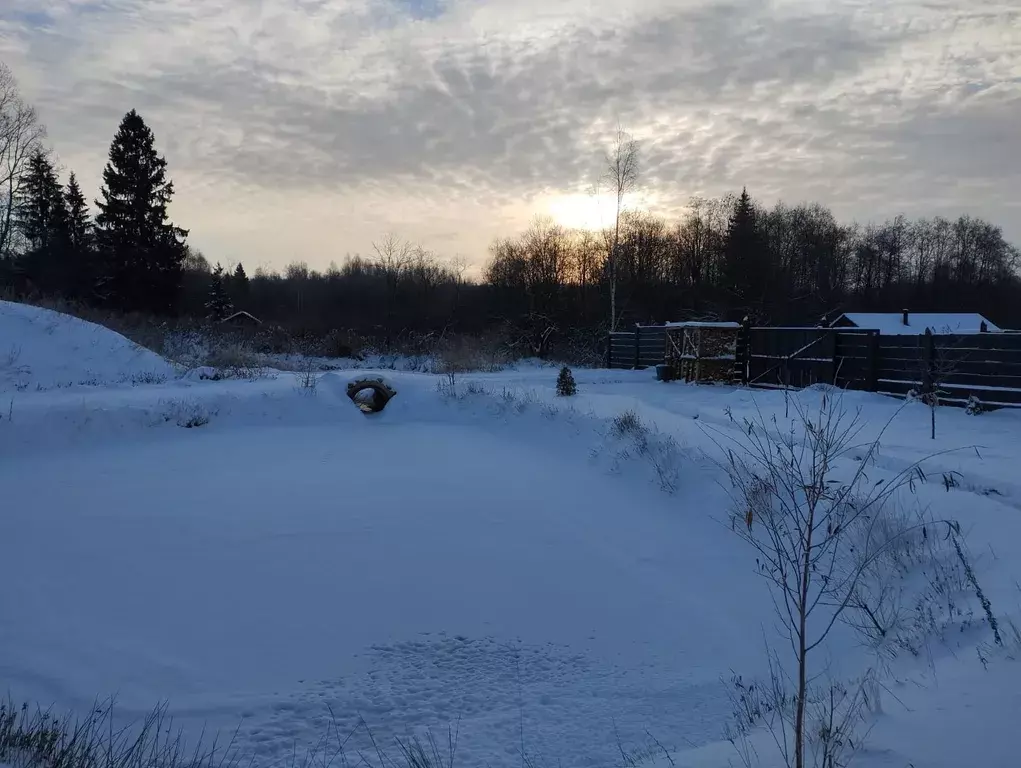 дом городской округ Волоколамский д Федосьино СТ Федосьино-21 территория, 57, Волоколамск фото 5