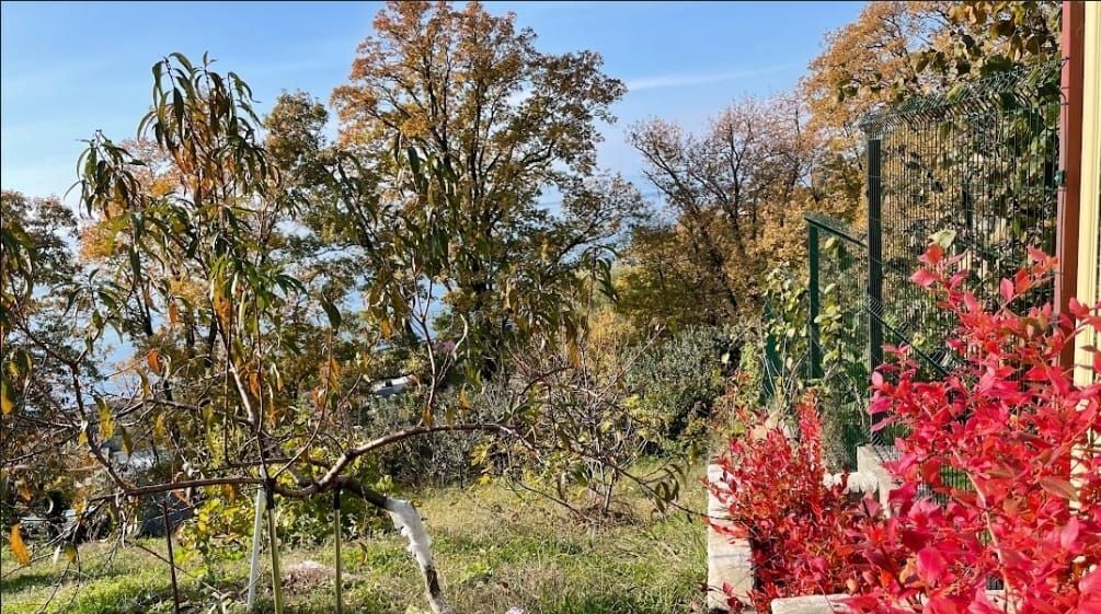 дом г Сочи р-н Лазаревский Головинка Лазаревский район фото 13