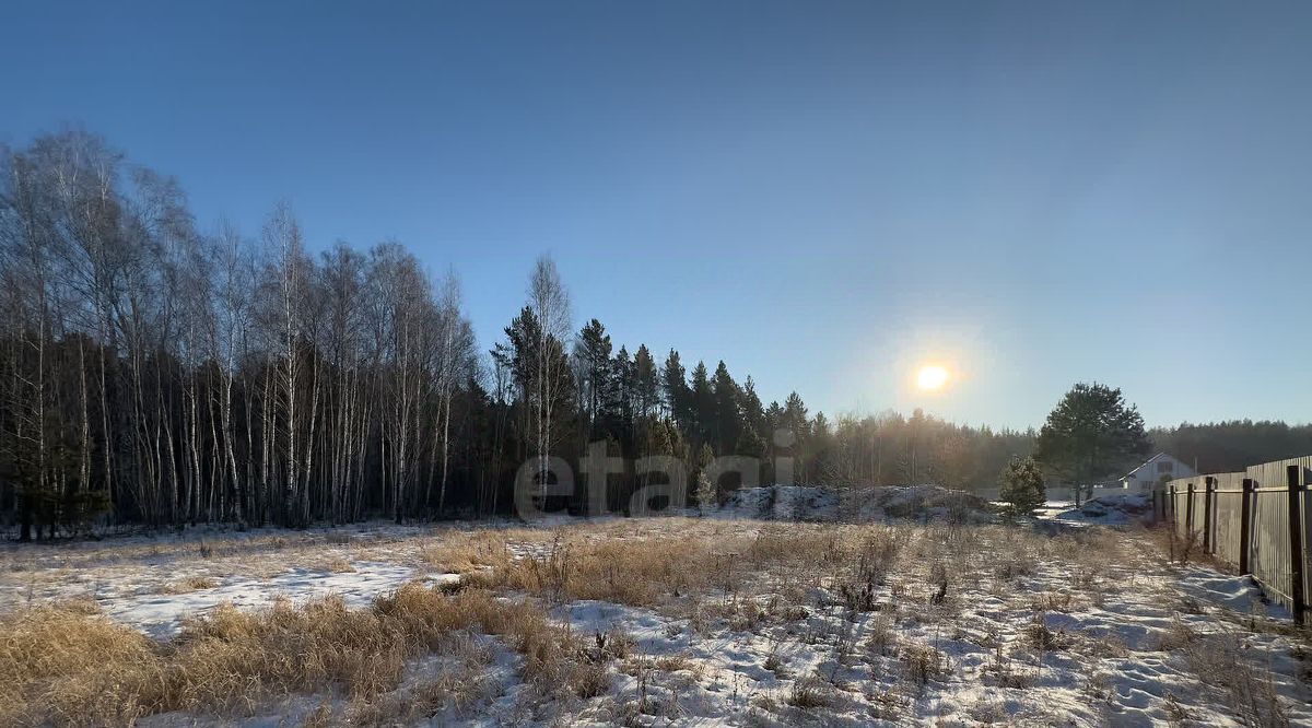 земля р-н Тюменский с Княжево ул Бирюзовая фото 2