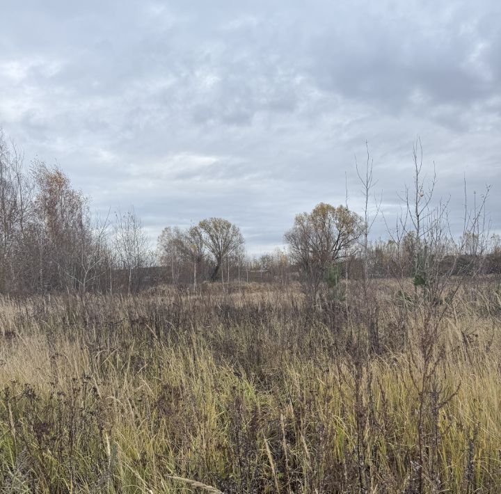 земля городской округ Раменский с Малышево Ипподром, ул. Сиреневая фото 7