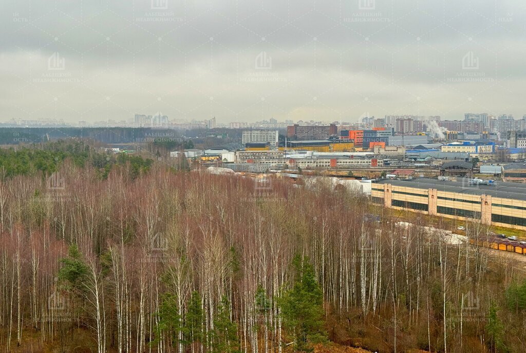 квартира г Санкт-Петербург метро Комендантский Проспект ул Парашютная 61к/1 округ Коломяги фото 6