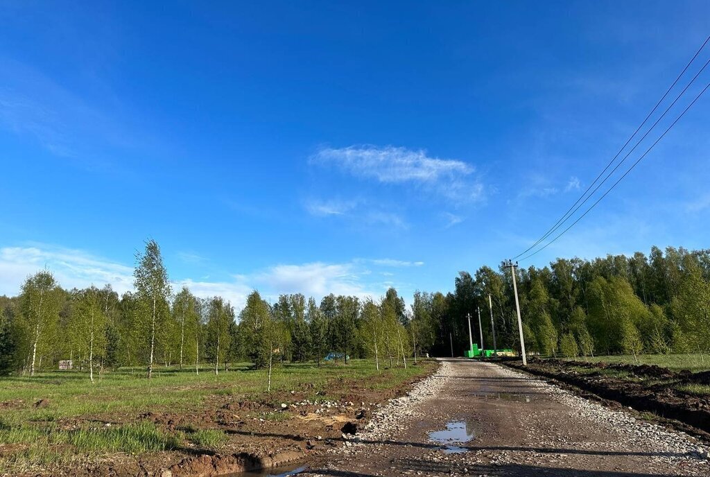 земля городской округ Раменский д Тяжино ул Клубничная фото 8