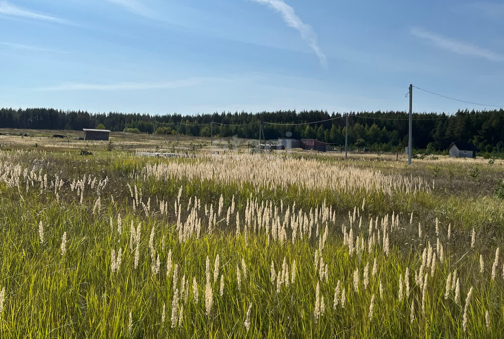 земля г Ульяновск с Луговое ул Троицкая фото 1