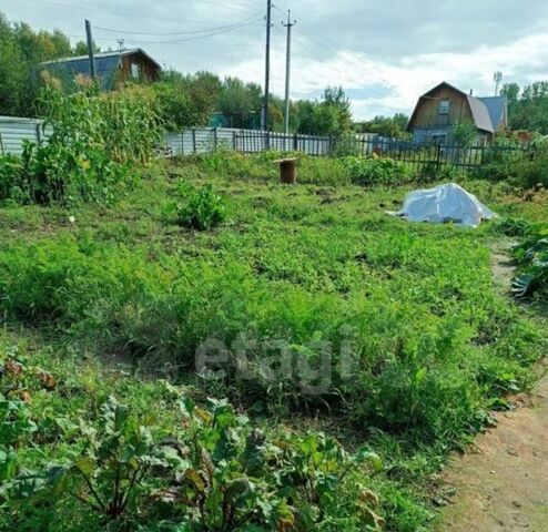 снт Экспериментатор-1 Барышевский сельсовет фото