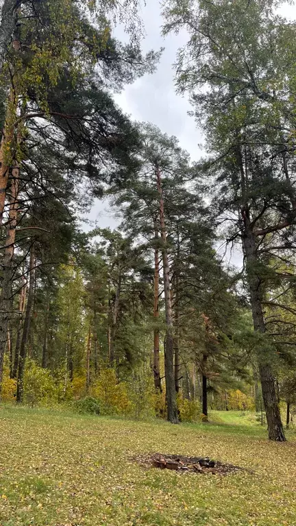 дом р-н Тарусский д Похвиснево ул Заречная 1 КП Новая Земля, Таруса фото 41