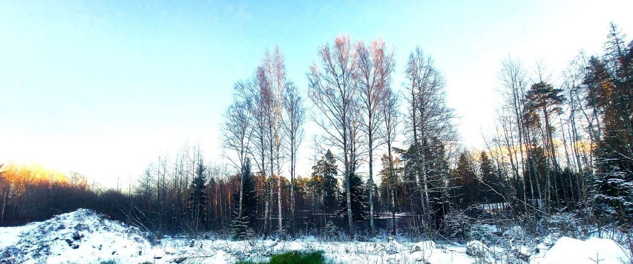 земля р-н Выборгский п Советский ул Садовая Советское городское поселение фото 3