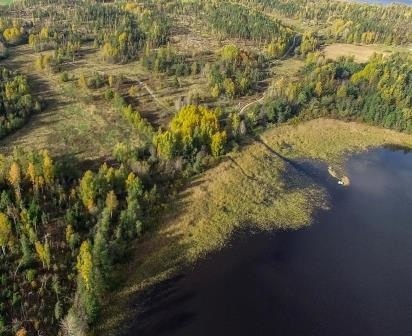 земля р-н Приозерский п Горы фото 2