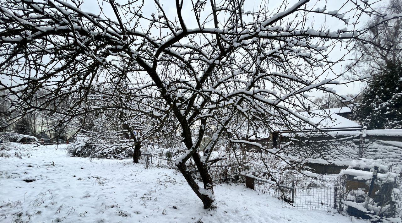 дом городской округ Пушкинский д Артёмово 19 фото 4