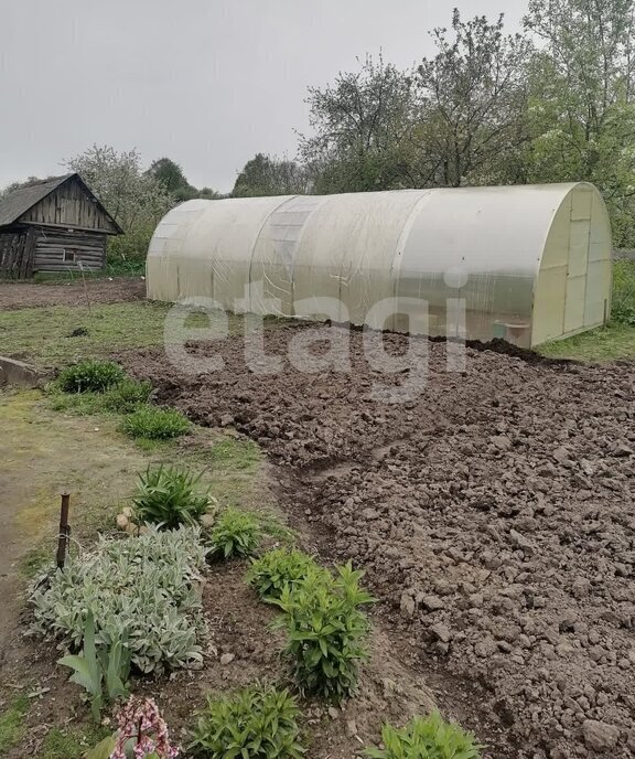 дом р-н Дубровский д Голубея ул Березовая фото 4